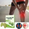 wellneepainreliefpatches